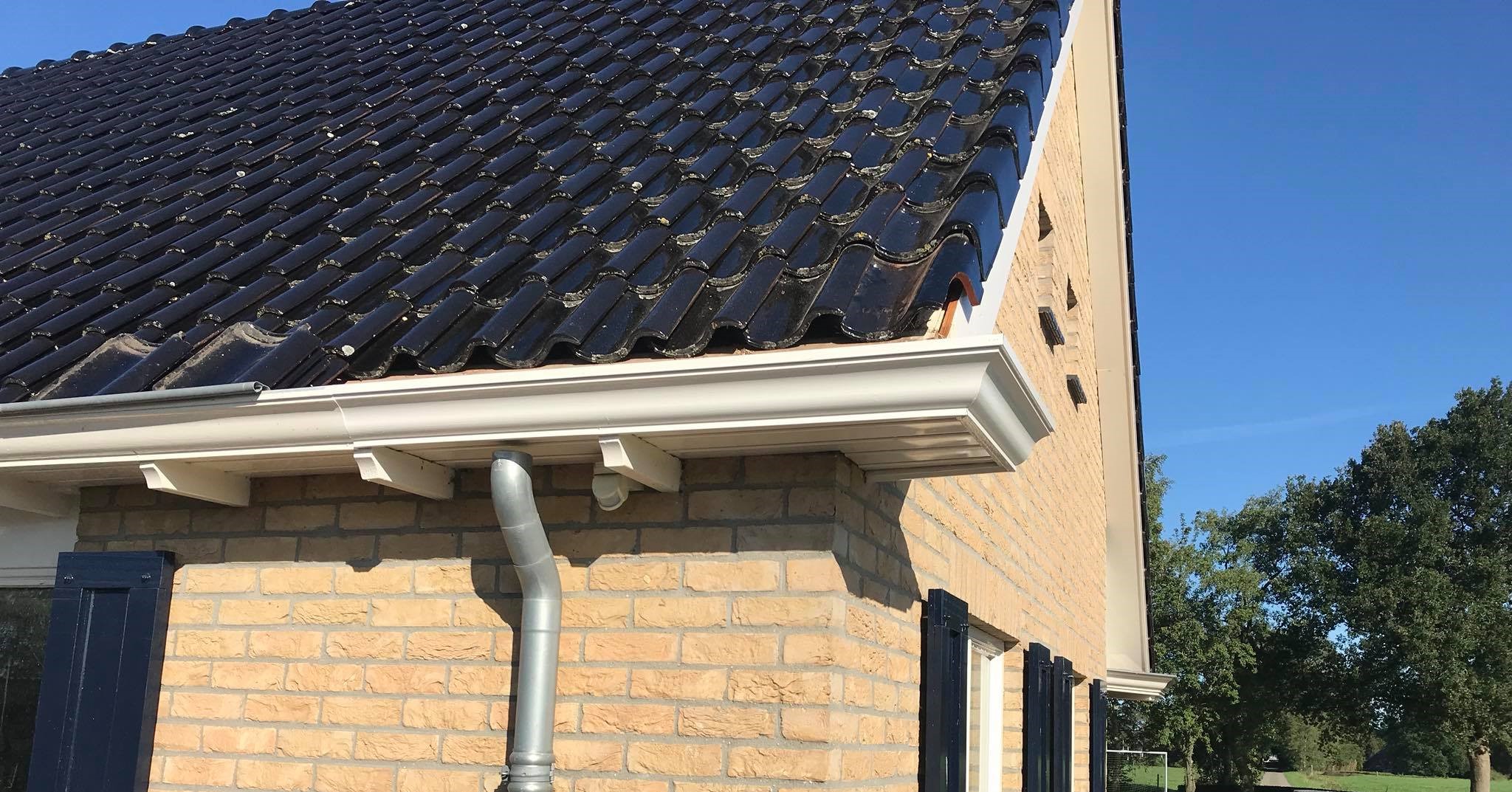 Dakgoot reparatie